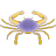 Cancer