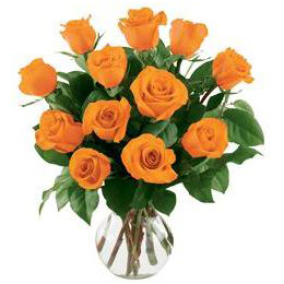 Orange Roses