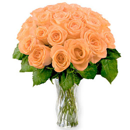 Peach Roses