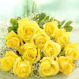 Yellow Roses